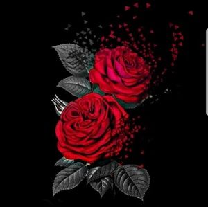 Meet your Posher, Shreena